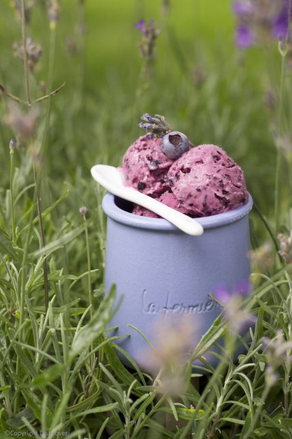 4 verfrissende ijsjes - yoghurtijs met blauwe bessen