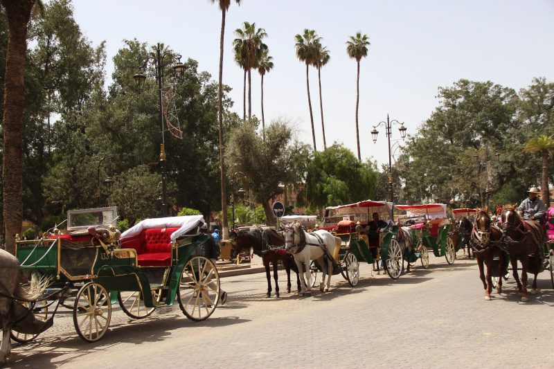 koets Jemaa el Fna Marrakech