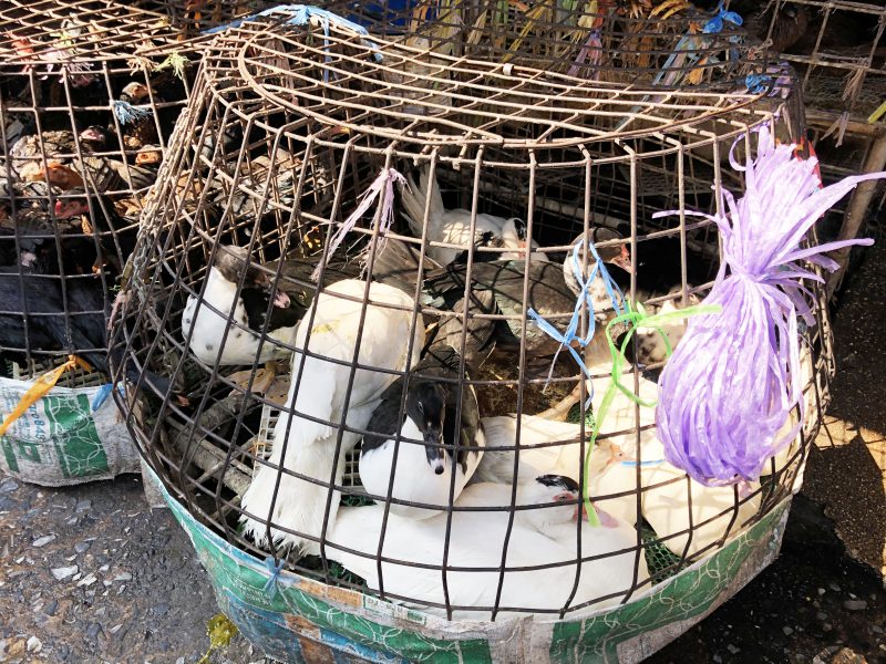 Klong-Toey markt Bangkok